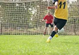 贡萨洛与李,刚仁并肩,维蒂尼亚,太阳城娱乐城官方网站,太阳城娱乐平台APP下载