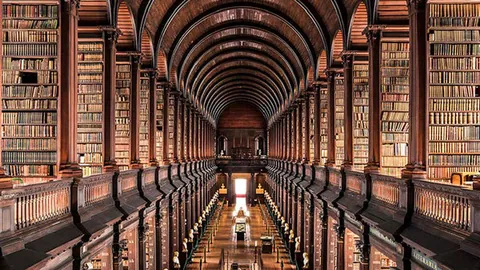 德转更新：索博斯洛伊身价波动，最高105亿欧，最低9000万