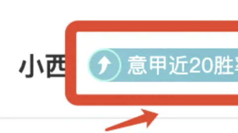 广州女足国脚张琳艳加盟武汉车谷江大：助力球队崛起